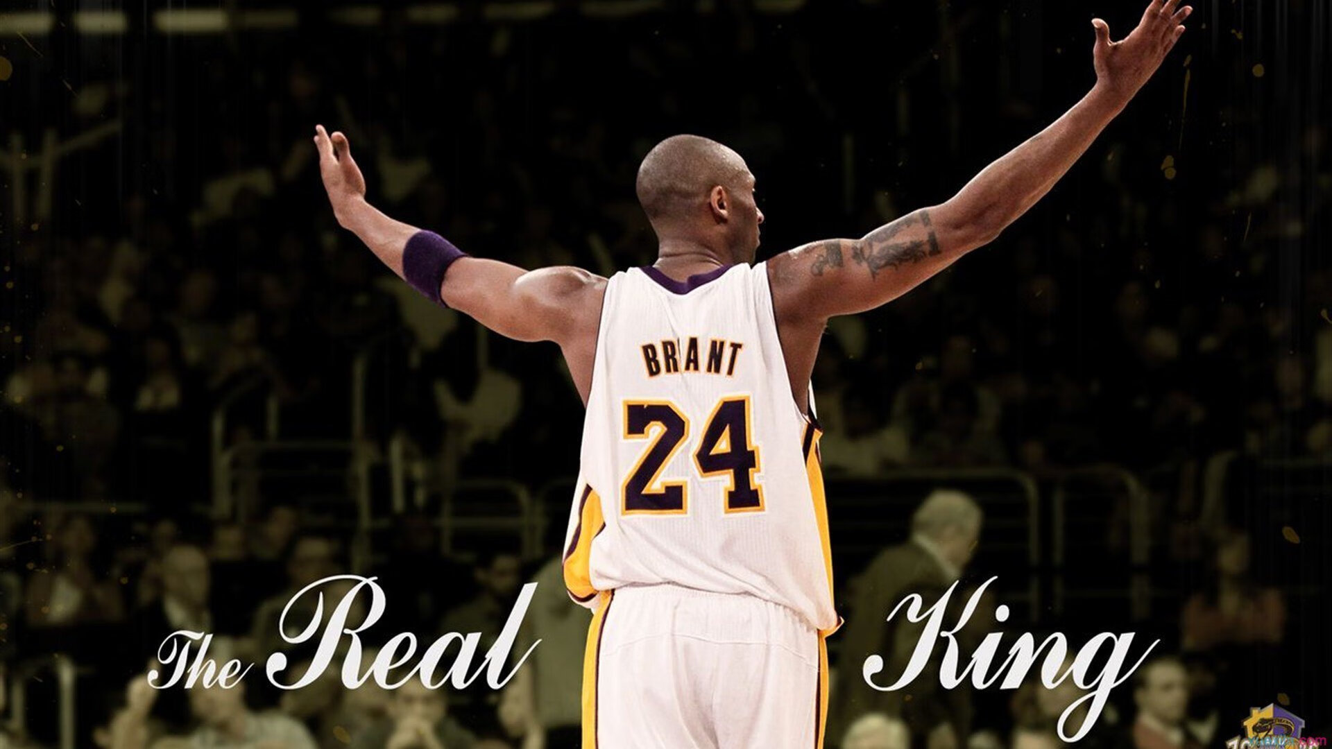 体育赛事志愿者服务质量提升策略，体育赛事志愿者的工作要求